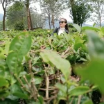 Gladys