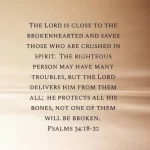 33Michael33
