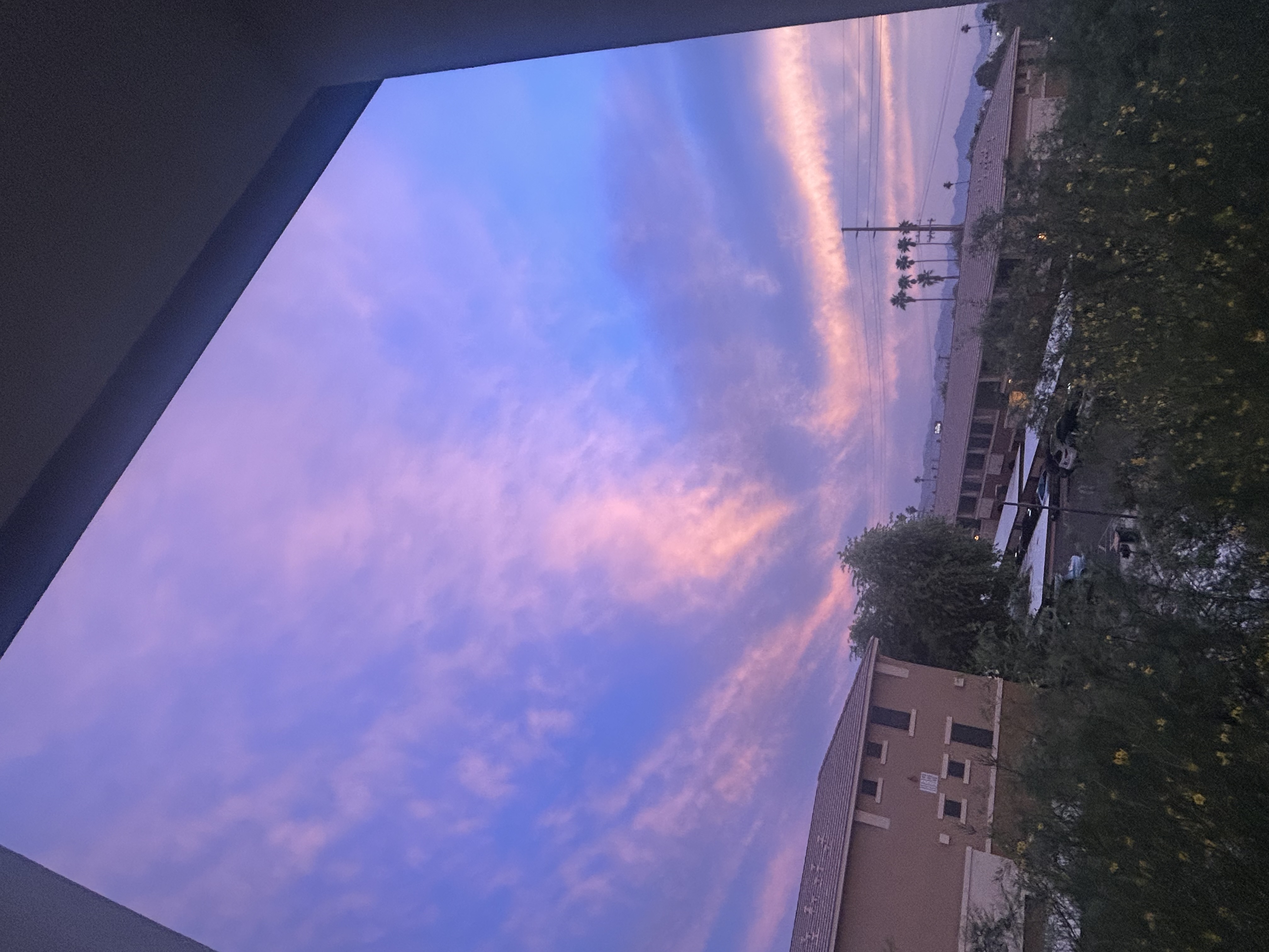 IMG 6616