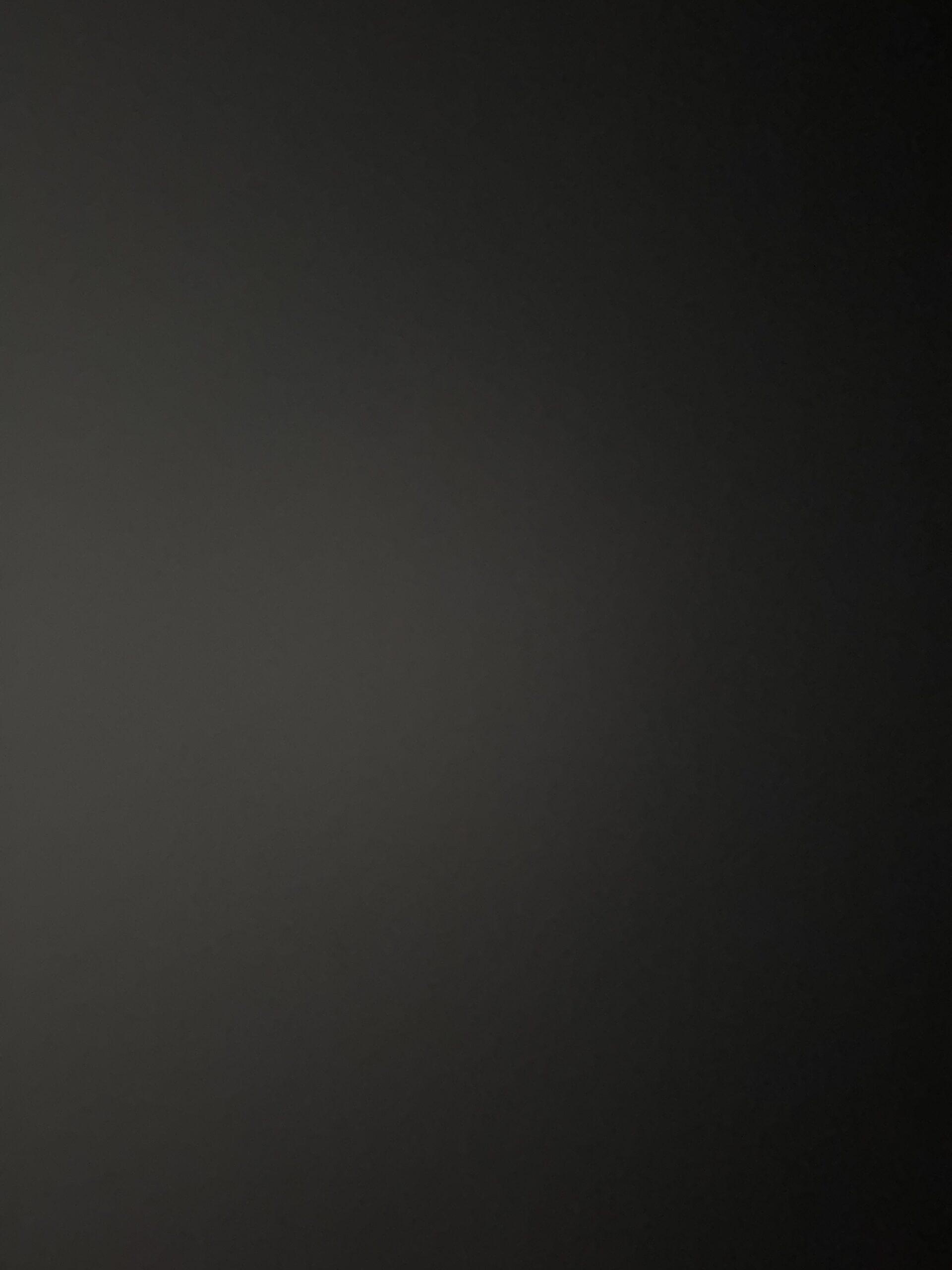 image scaled