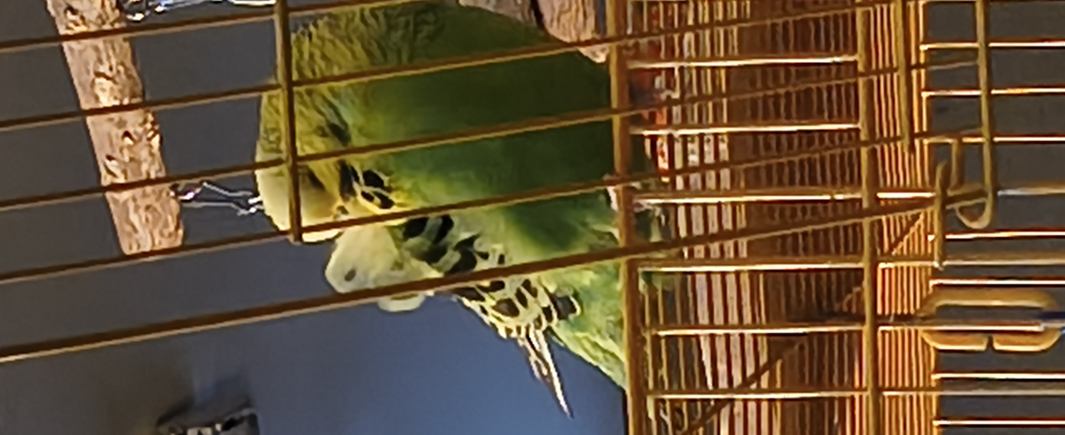 IMG 20260525 135604650 HDR